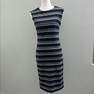 Banana Republic Blue and White Sheath Dress Sleeveless Crew Neck